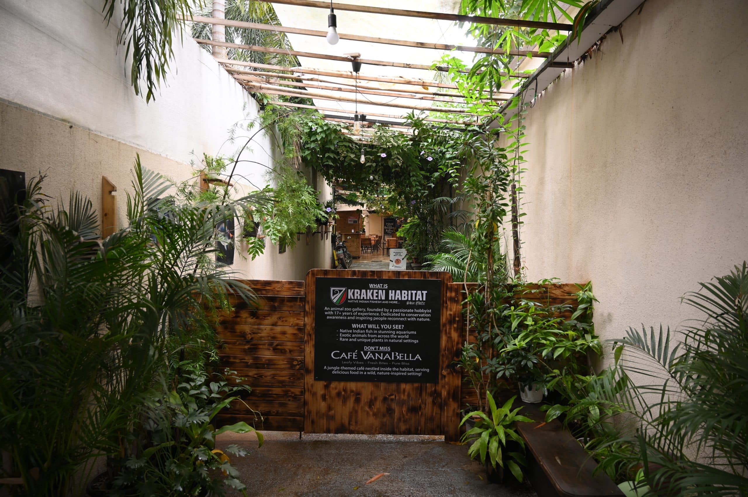 Kraken Habitat cafe and co-working space