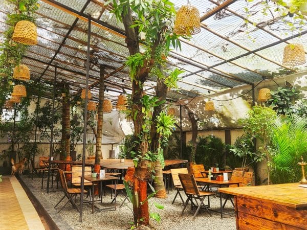 Cafe Seating Area & C0-Working